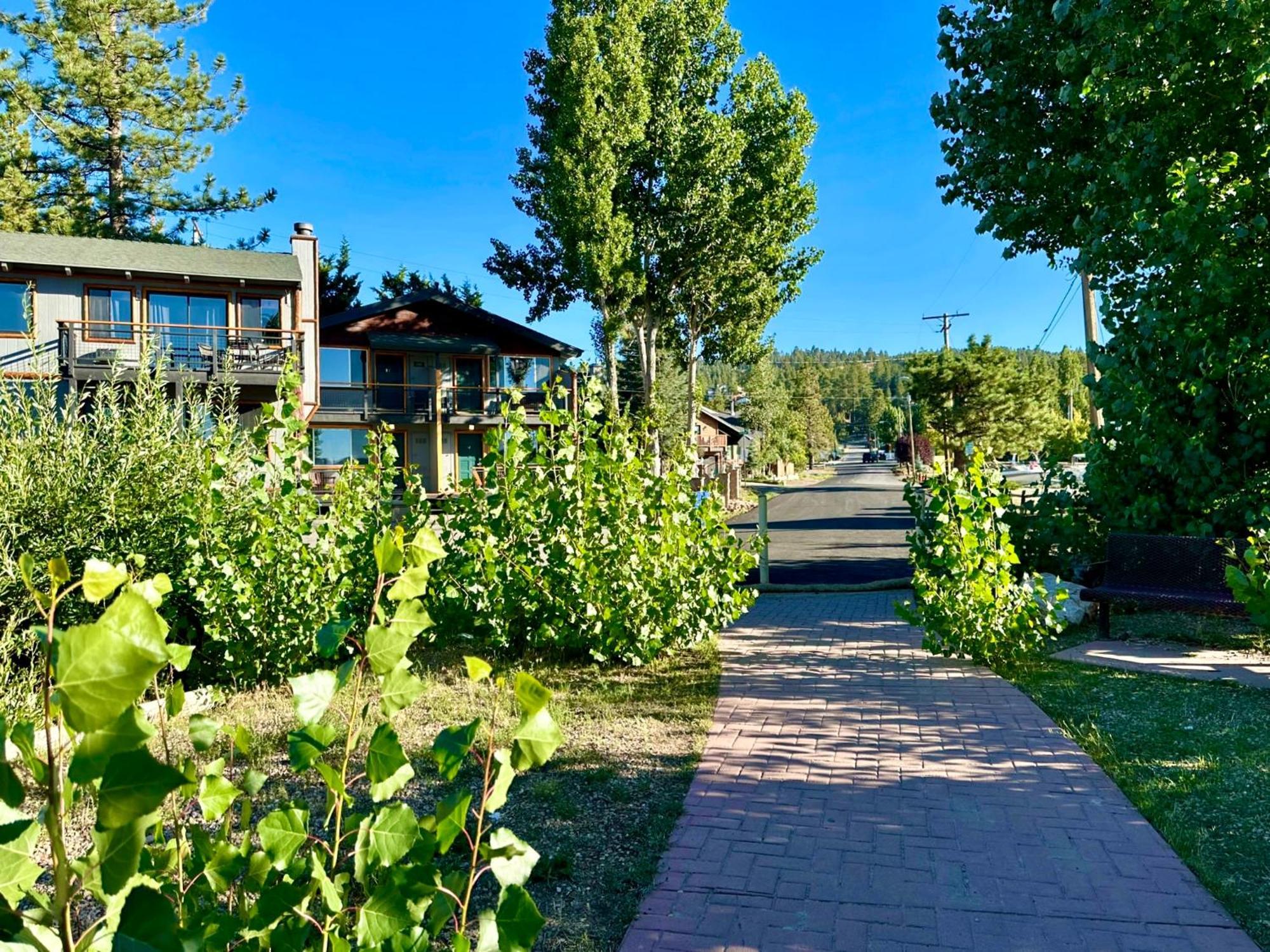 Lakefront Escape بيغ بير لاكي، سان بيرناردينو، كاليفورنيا المظهر الخارجي الصورة